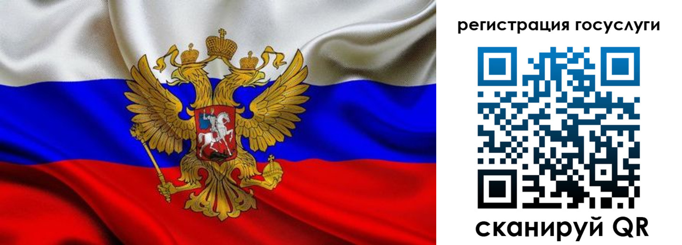 прописка гарантия в Тынде